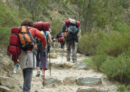 Galería de imágenes en miniatura