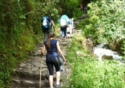 Galería de imágenes en miniatura