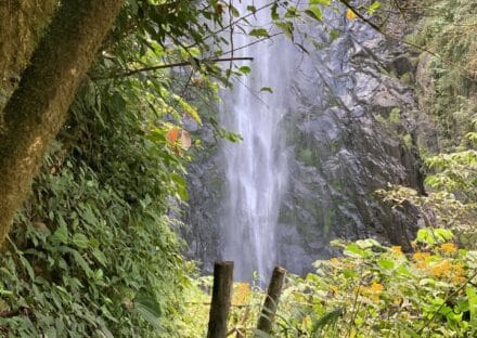 Galería de imágenes en miniatura