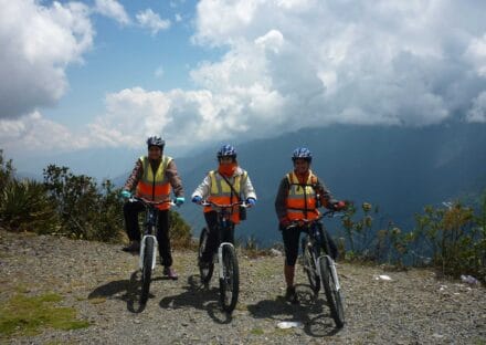 Galería de imágenes en miniatura