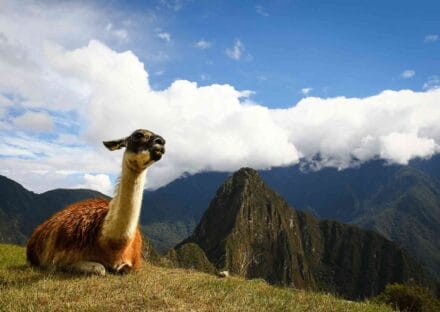 Galería de imágenes en miniatura