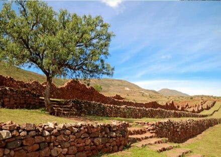 Galería de imágenes en miniatura