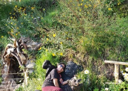 Galería de imágenes en miniatura