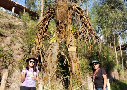 Galería de imágenes en miniatura