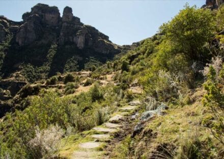 Galería de imágenes en miniatura