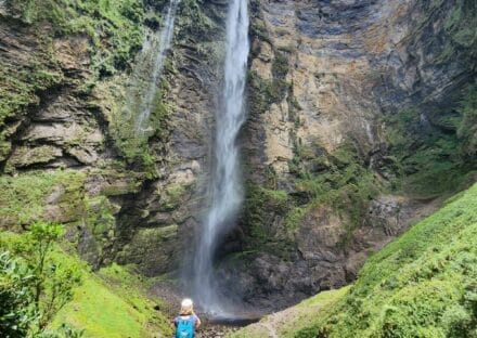 Galería de imágenes en miniatura