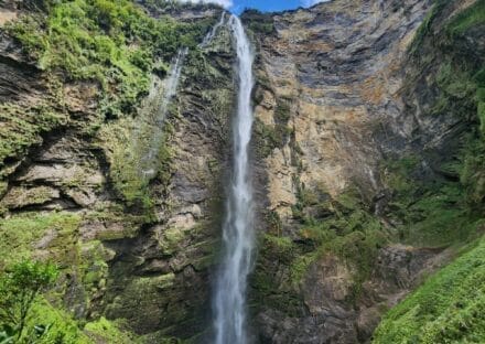 Galería de imágenes en miniatura