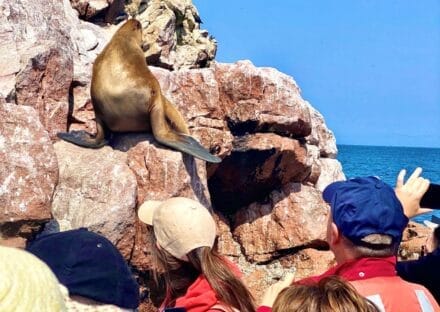 Galería de imágenes en miniatura