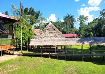 Galería de imágenes en miniatura