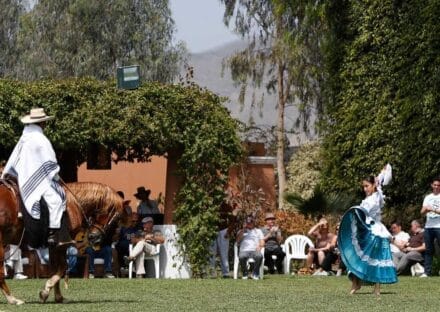 Galería de imágenes en miniatura