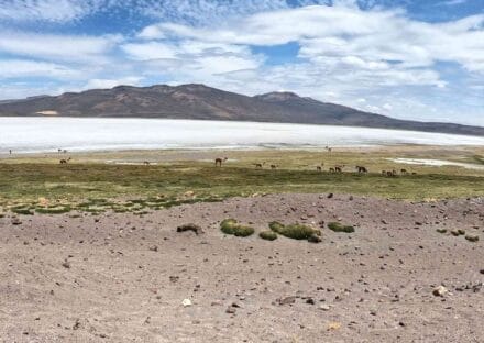 Galería de imágenes en miniatura