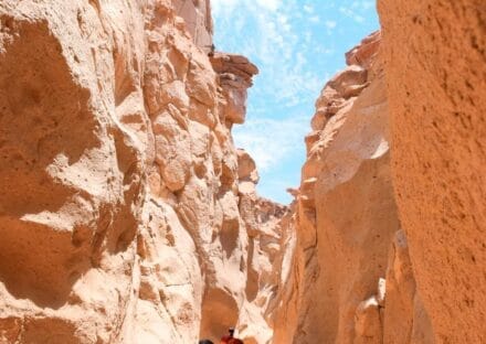 Galería de imágenes en miniatura