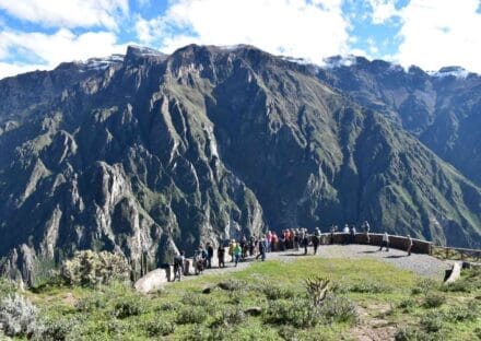 Galería de imágenes en miniatura