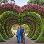 Circuito mágico del agua