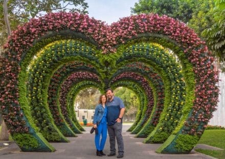 Galería de imágenes en miniatura