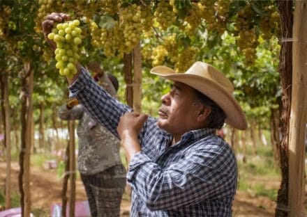 Galería de imágenes en miniatura