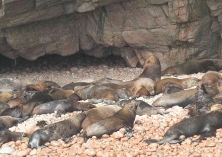 Galería de imágenes en miniatura