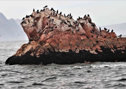 Galería de imágenes en miniatura