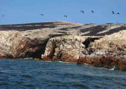 Galería de imágenes en miniatura