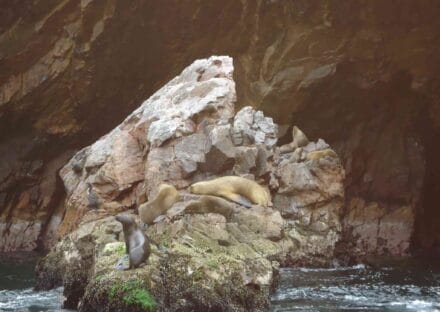 Galería de imágenes en miniatura