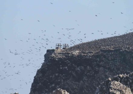 Galería de imágenes en miniatura