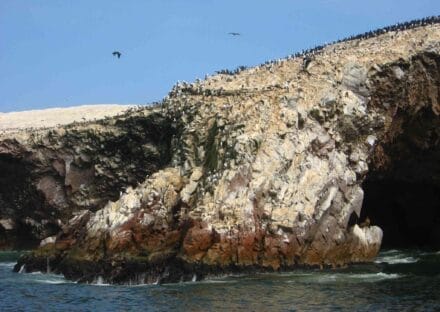 Galería de imágenes en miniatura