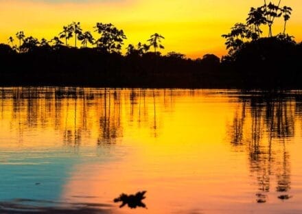 Galería de imágenes en miniatura