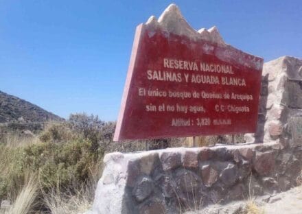 Galería de imágenes en miniatura