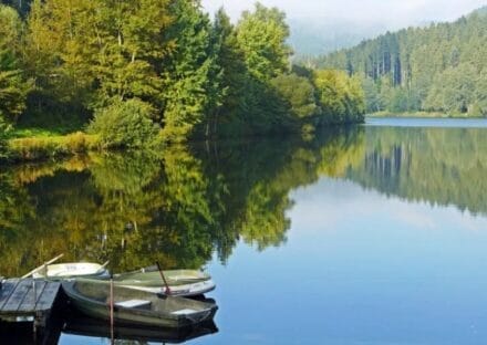 Galería de imágenes en miniatura