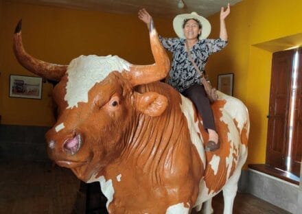 Galería de imágenes en miniatura