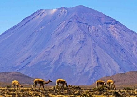 Galería de imágenes en miniatura