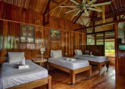 Galería de imágenes en miniatura