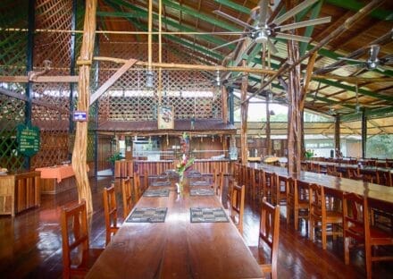 Galería de imágenes en miniatura