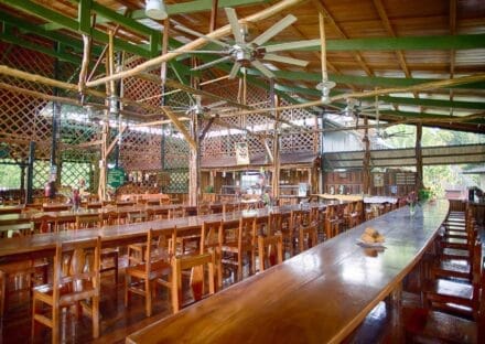 Galería de imágenes en miniatura