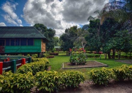 Galería de imágenes en miniatura