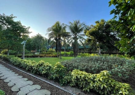 Galería de imágenes en miniatura