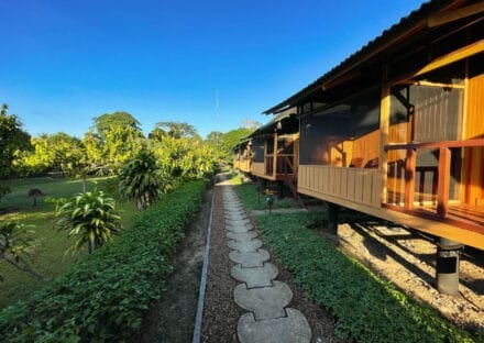 Galería de imágenes en miniatura