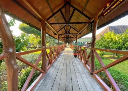 Galería de imágenes en miniatura