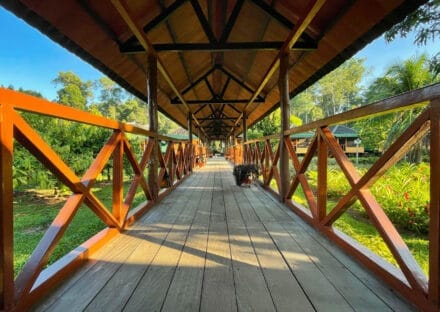 Galería de imágenes en miniatura