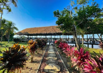 Galería de imágenes en miniatura