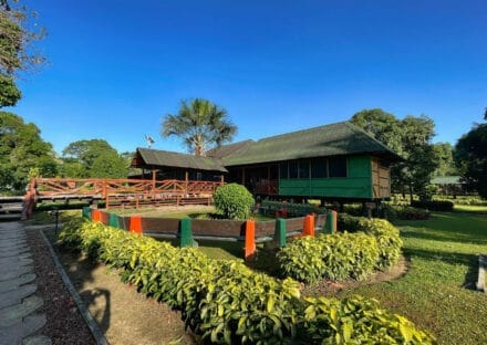 Galería de imágenes en miniatura