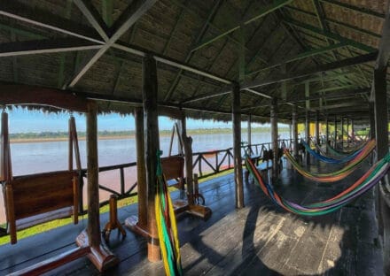 Galería de imágenes en miniatura