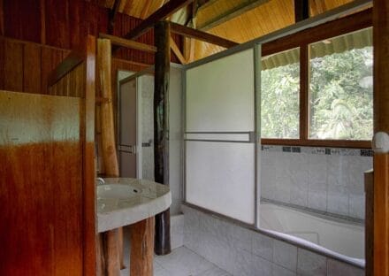 Galería de imágenes en miniatura