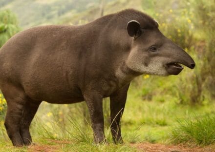 Galería de imágenes en miniatura