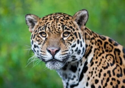 Galería de imágenes en miniatura