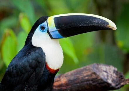 Galería de imágenes en miniatura