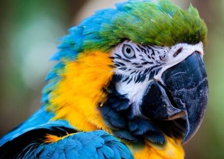 Galería de imágenes en miniatura