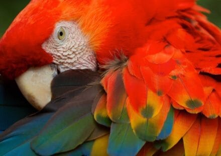 Galería de imágenes en miniatura