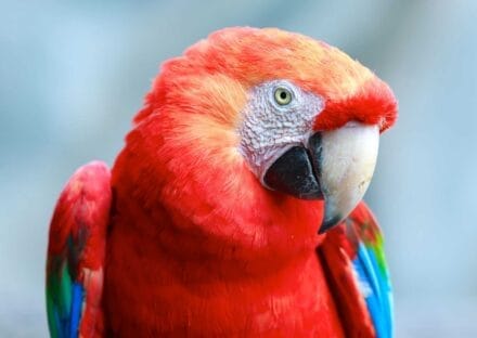 Galería de imágenes en miniatura