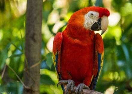 Galería de imágenes en miniatura